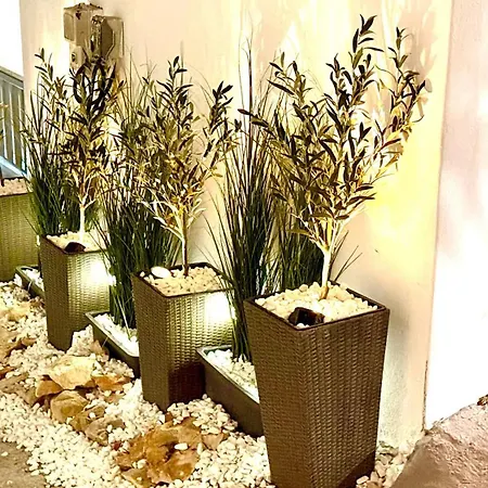 شقة Naousaki Premium 2 ناوسا